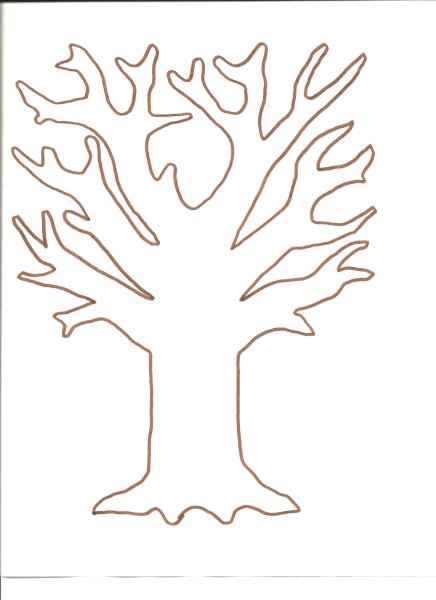 Дерева дуба