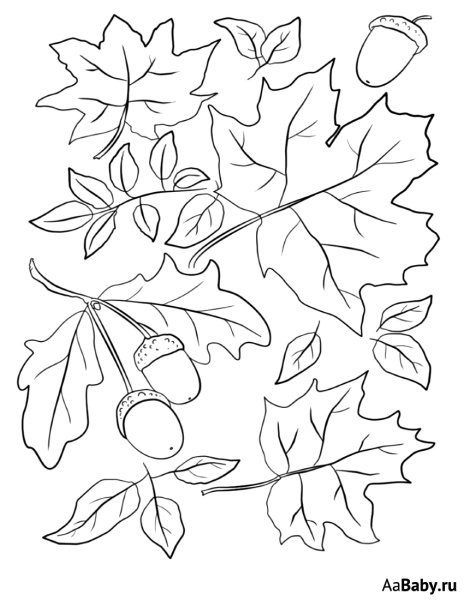 Осенние листья букеты