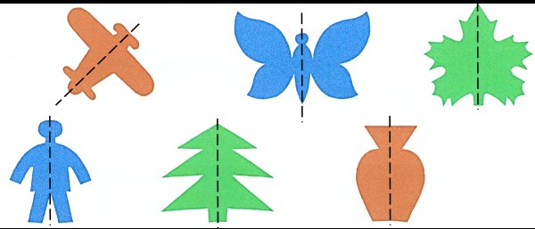Симметрия бабочка