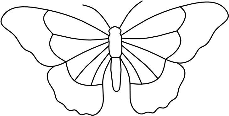 Трафареты бабочки