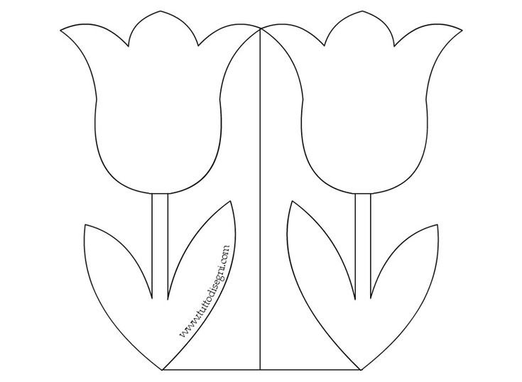 Цветы шаблон для аппликации