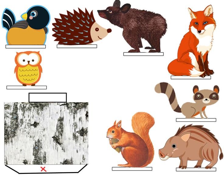 Макет Лесные животные