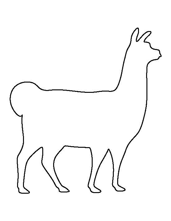Раскраска лама