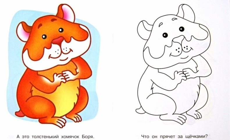 Раскраска хомяк