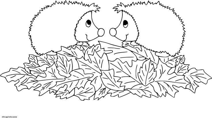 Ежик раскраска для малышей