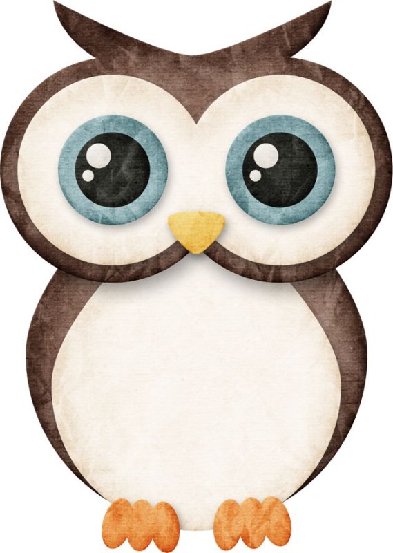 Аппликация Сова