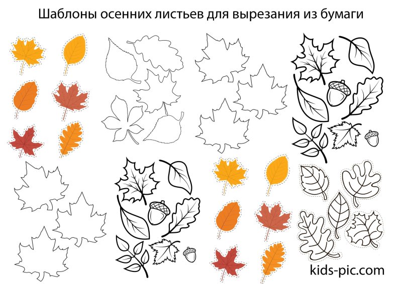 Осенние листочки шаблоны