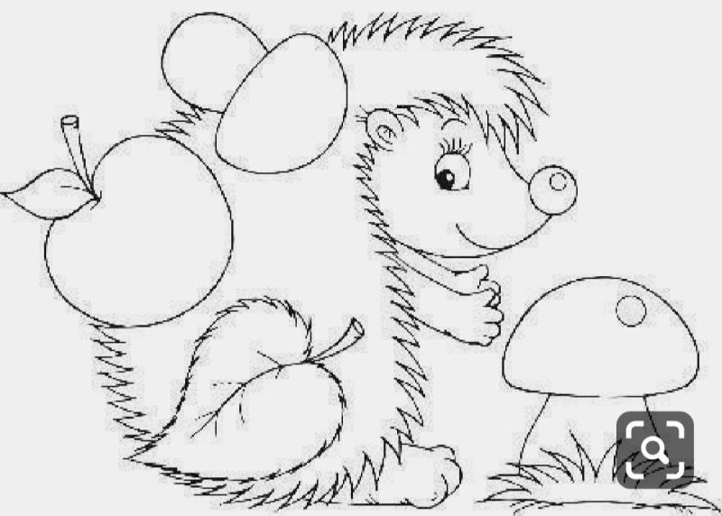 Ёжик раскраска для детей