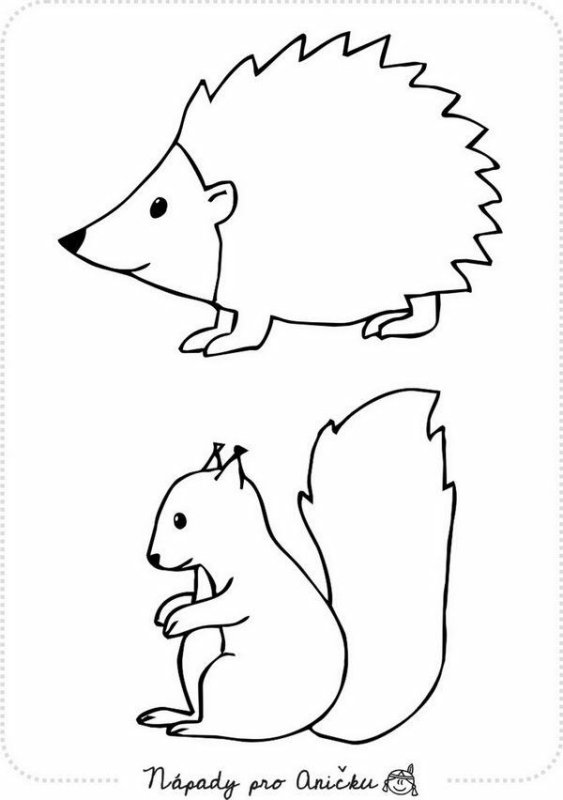 Ежик рисунок для аппликации