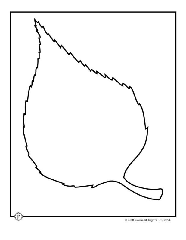 Трафарет листьев березы