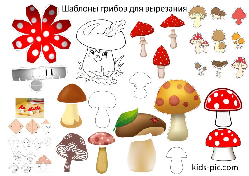 Аппликация грибочки