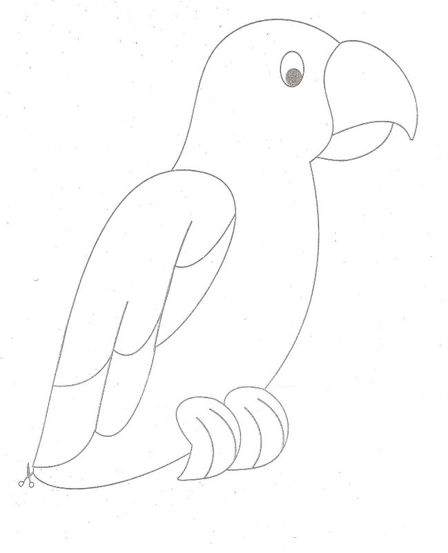 Попугай раскраска для детей