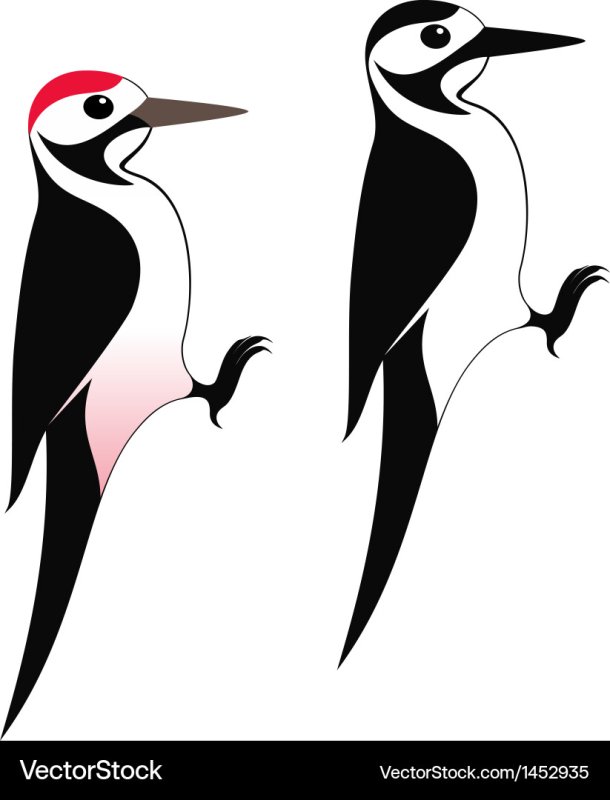 Дятел аппликация для детей