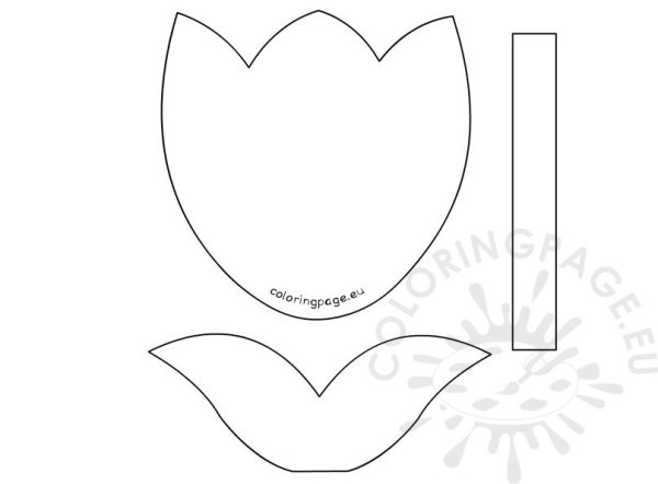 Заготовки для бумажного тюльпана
