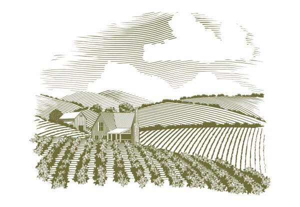 Сельское хозяйство гравюра
