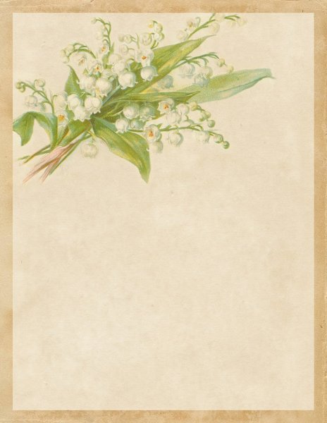 Бумага Винтажные цветы