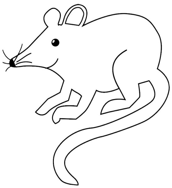 Мышь трафарет для рисования