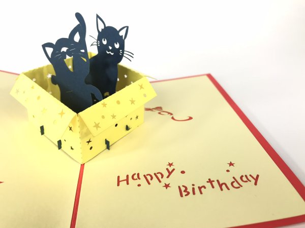 Объемная открытка котик в коробке