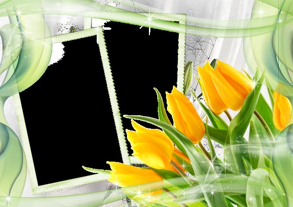 Рамка для фотошопа тюльпаны