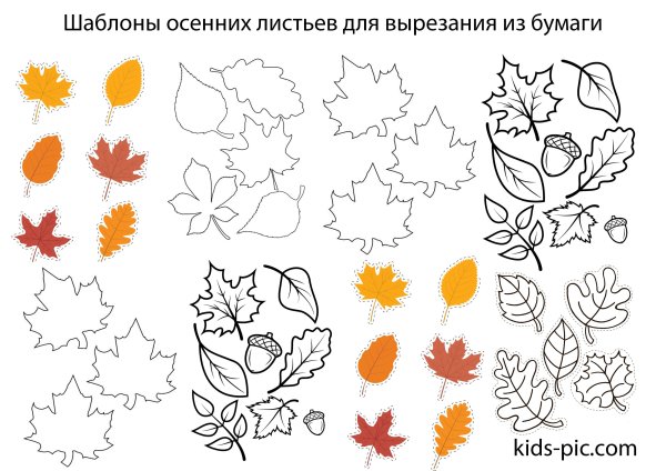 Трафареты осенних листьев для детского сада