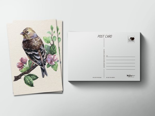 Дизайнерские почтовые открытки