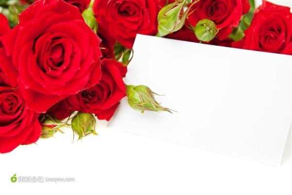 Шаблон открытки с розами