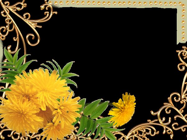 Желтые цветы рамка