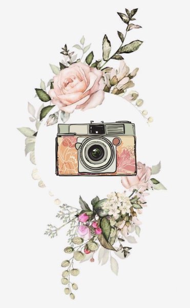 Фотоаппарат с цветами