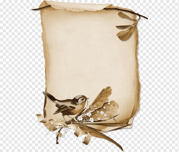 Рамка с птичками для текста