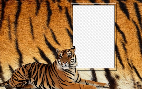 Рамка с тигром