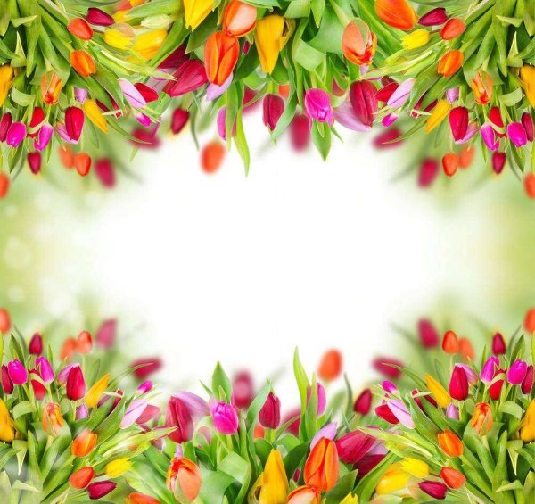 Цветочный фон тюльпаны