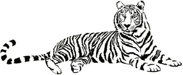 Тигр лежит трафарет