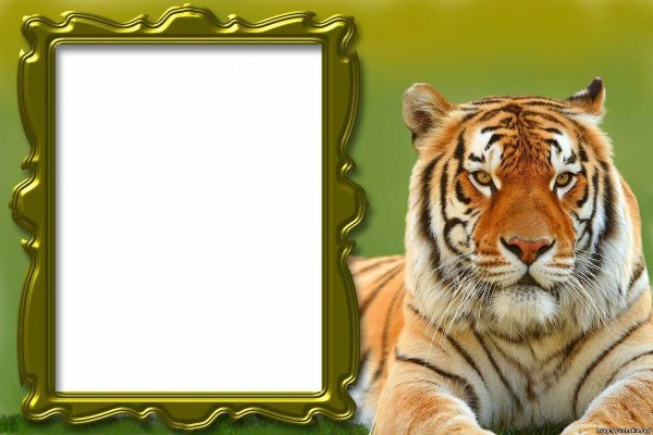 Новогодняя рамка с тигром