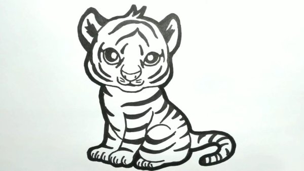Вытынанка тигр