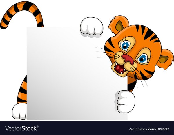 Тигр выглядывает из за угла