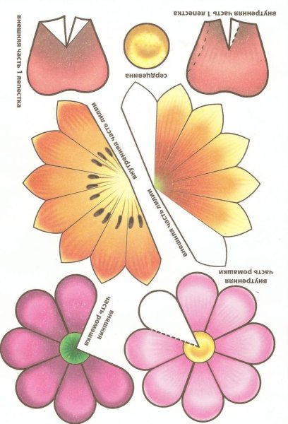 Объемные цветы из бумаги