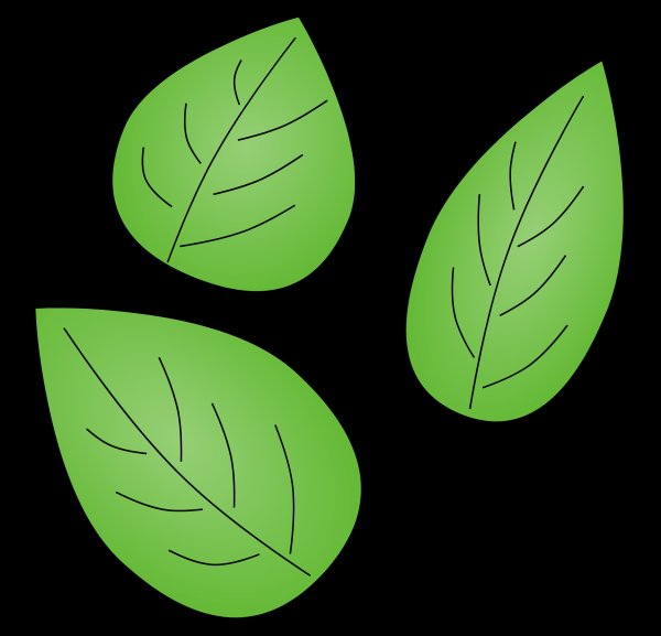 Аппликация с листьями