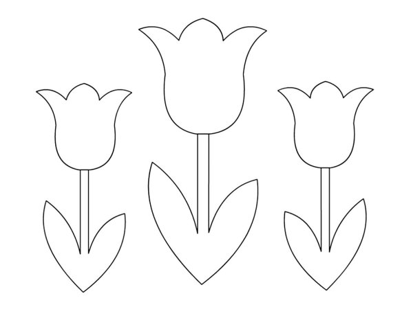 Трафареты тюльпаны