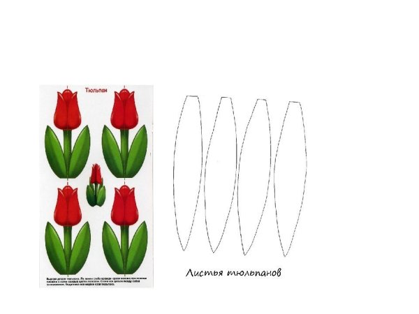 Тюльпаны для вырезания