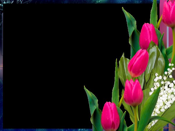 Рамка для фотошопа тюльпаны