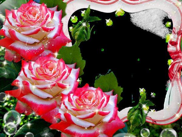 Красивые рамки с розами