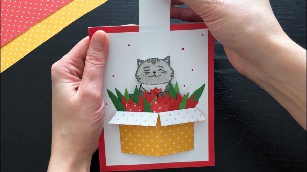 Объемная открытка котик