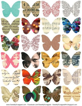 Альбома бабочка