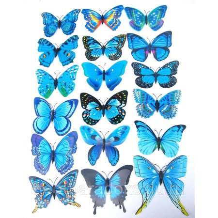 Бабочки для букета голубые
