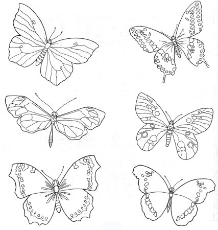 Бабочки карандашом