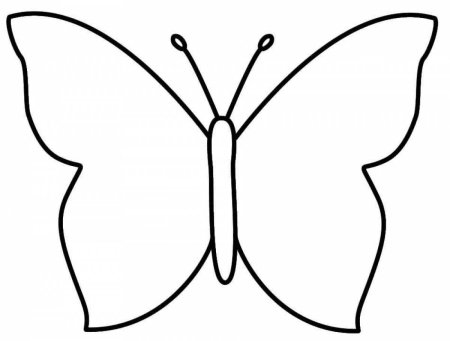 Бабочка прозрачный