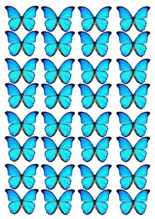 Бабочки голубые