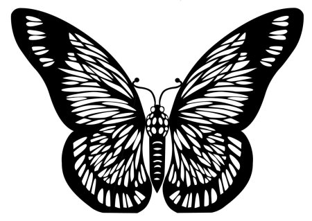 Бабочки крылья