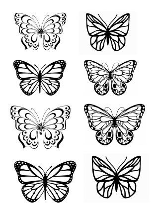 Бабочки много на одном листе