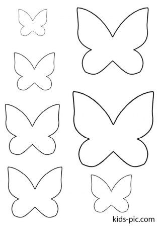 Бабочки цветочки